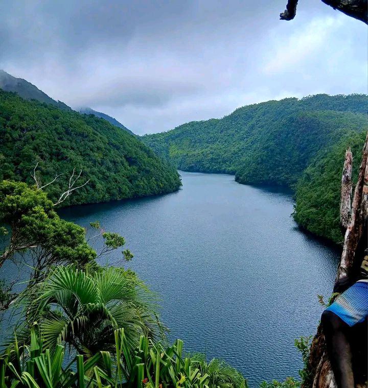 Bougainville