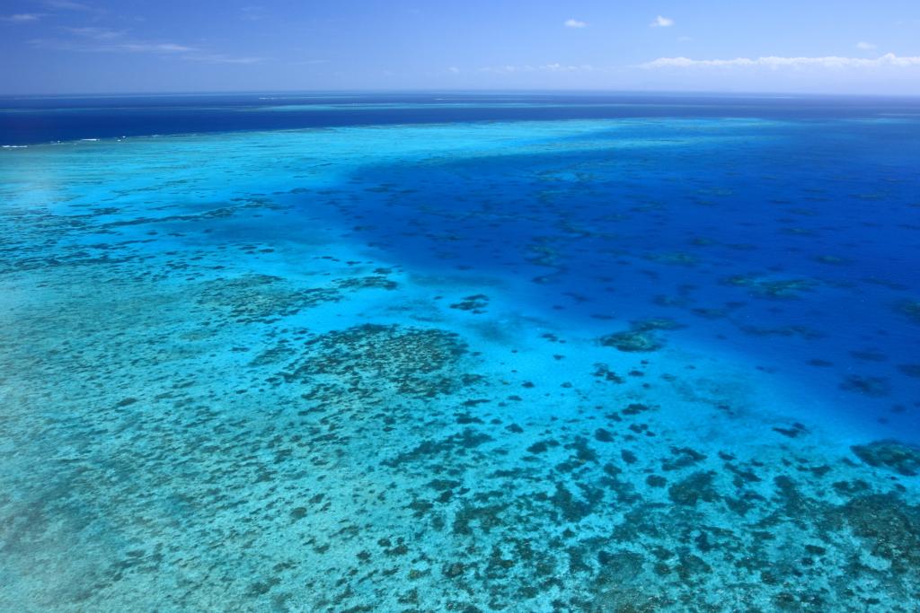 Ashmore Reef/Eastern Fields